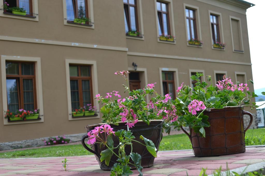 Pension Stara Skola Vysoke Zibridovice エクステリア 写真